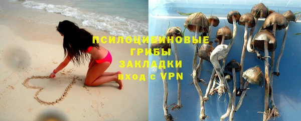 герыч Алексин